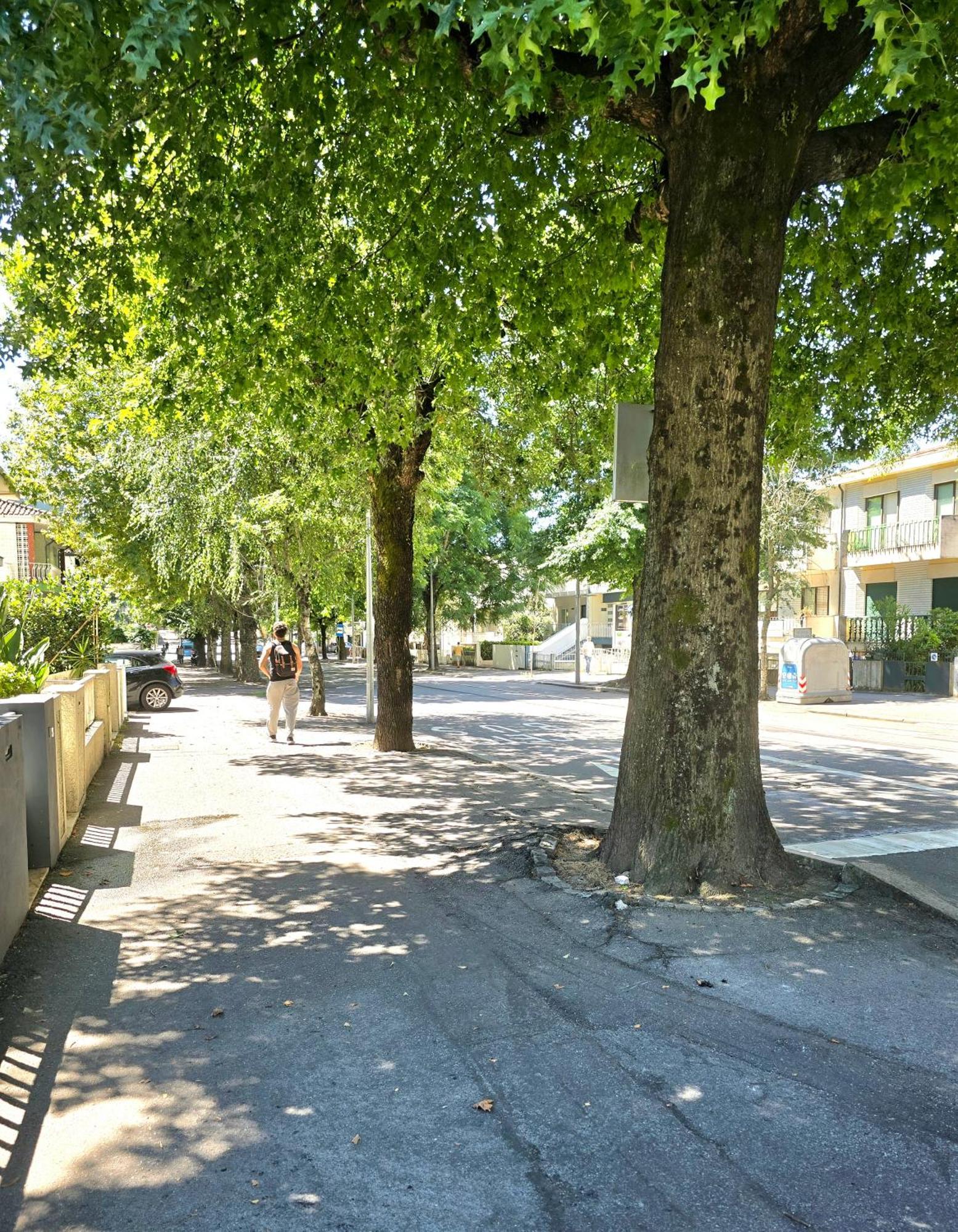 Casa Da Ana Villa Braga Dış mekan fotoğraf