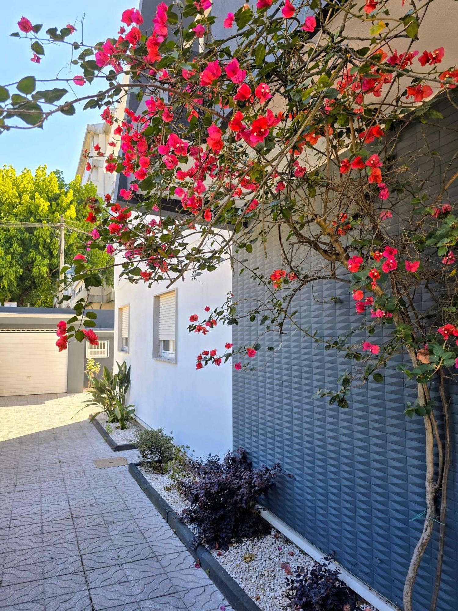 Casa Da Ana Villa Braga Dış mekan fotoğraf